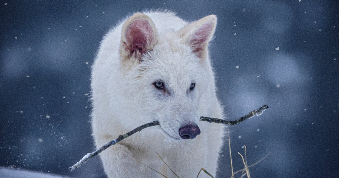 Why TruLife Distribution Is Being Looked At Differently After the 2022 Case - unfite